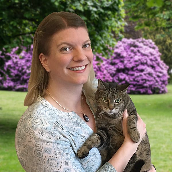 Seattle Tacoma Lap Of Love Mobile Veterinarians